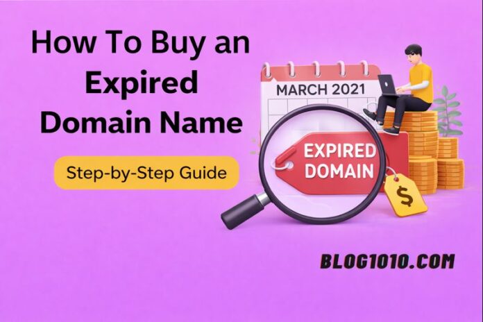 How To Buy an Expired Domain Name
